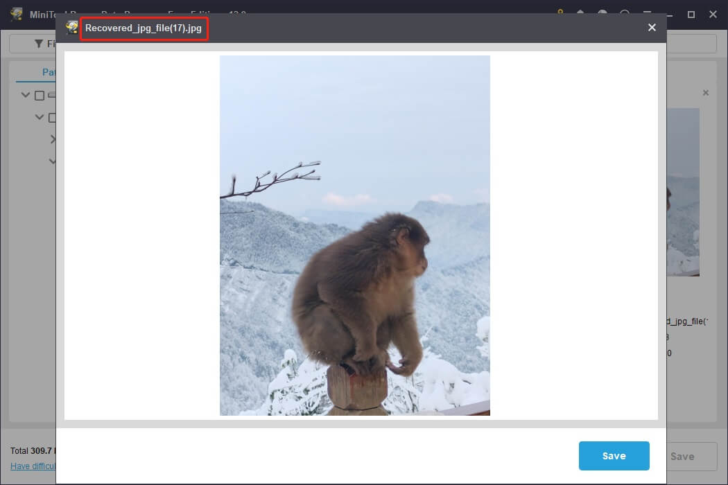 File preview window in MiniTool Power Data Recovery showing a sitting monkey.