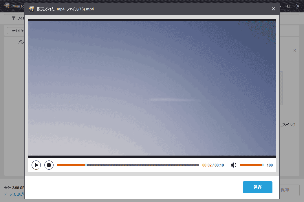 MiniTool Power Data Recoveryのプレビューウィンドウ