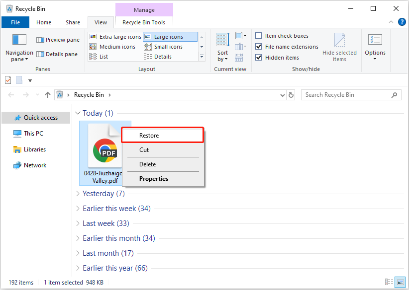 Recycle Bin interface showing a deleted PDF file ready to be restored.