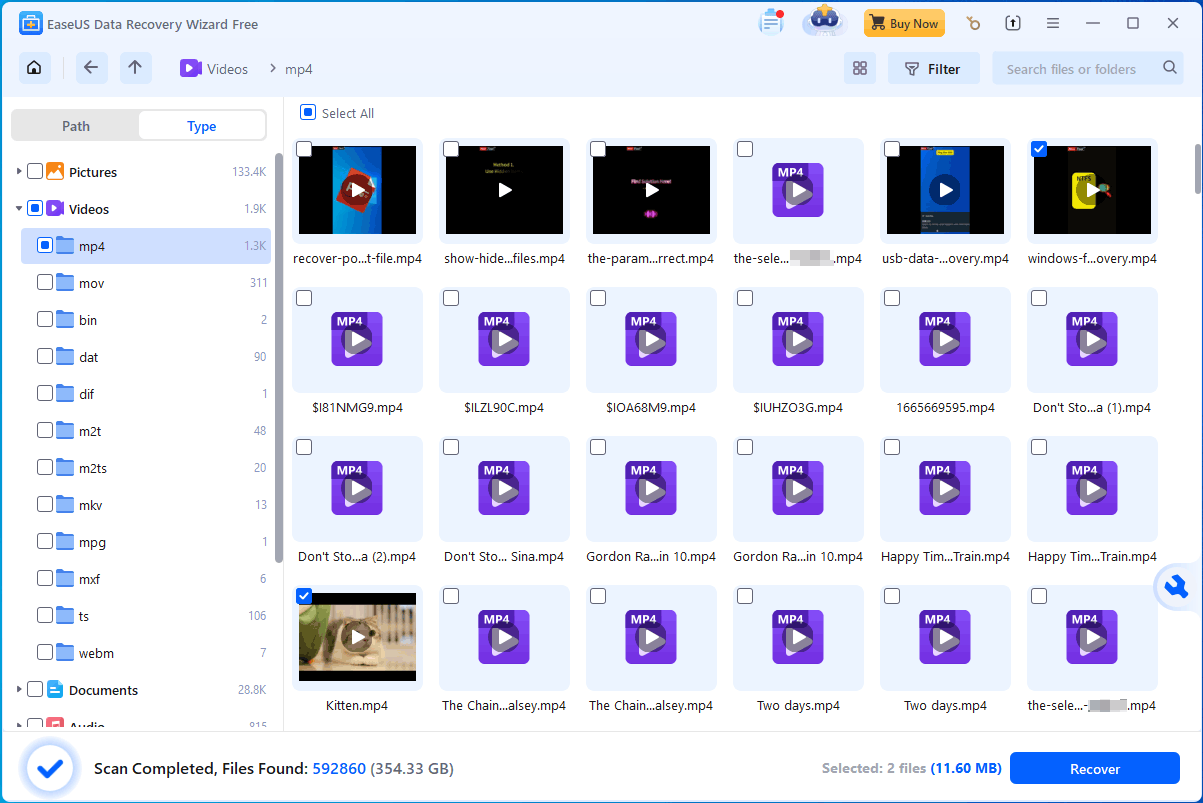 EaseUS Data Recovery Wizard scan results showing recoverable video files and the Recover button.