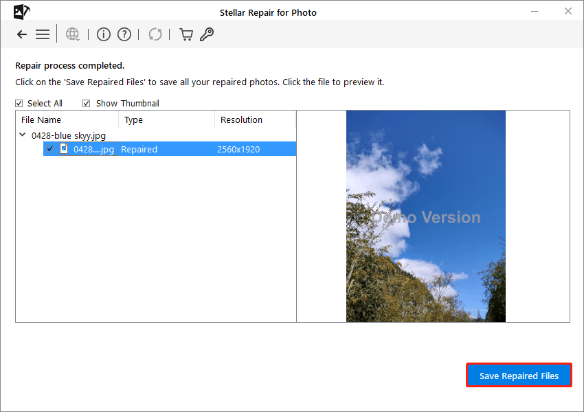 Stellar Repair for Photo interface shows a repaired photo and the Save Repaired Files option.