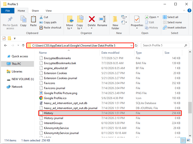 File Explorer interface shows the Chrome user profile location and the History file.
