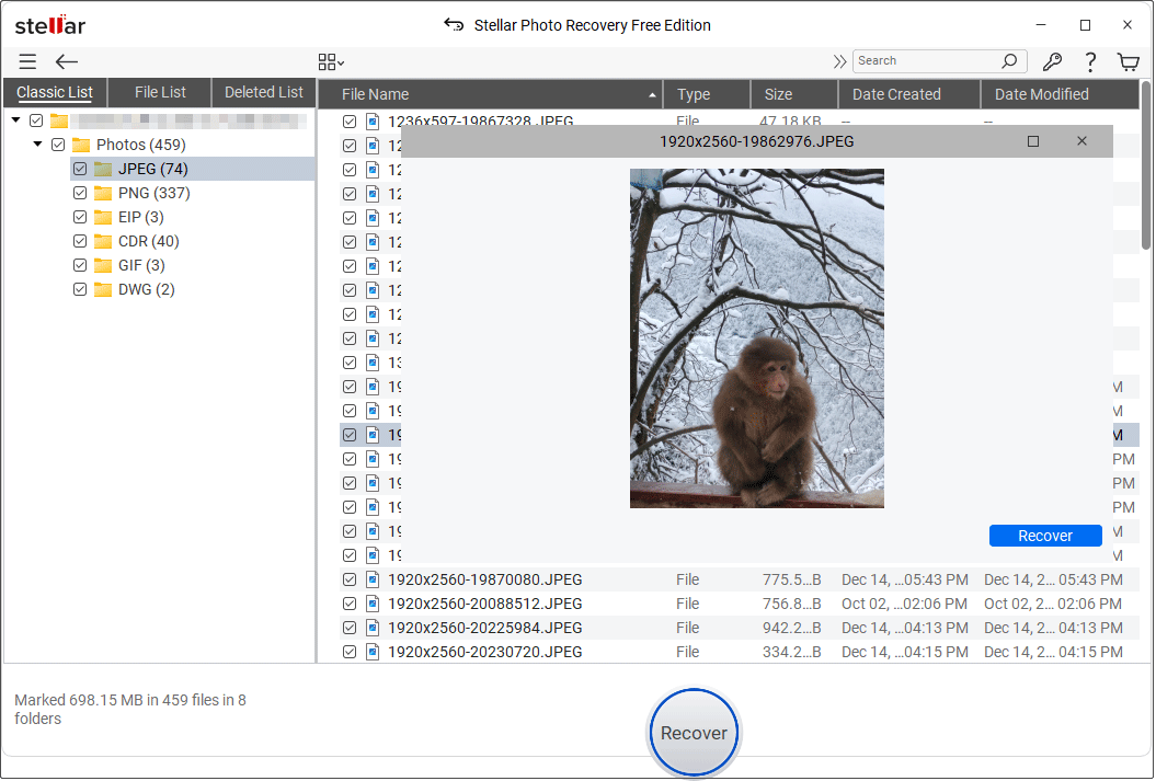 Stellar Photo Recovery interface shows the scan results and a file preview window for a picture.